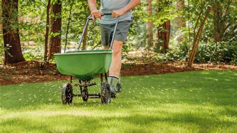 Can You Over Fertilize A Lawn The Risks Revealed Homes And Gardens