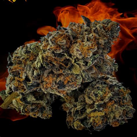 Dunes Face Fuck XHamster