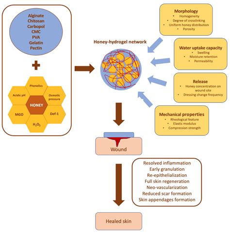 Applied Sciences Free Full Text The Rediscovery Of Honey For Skin