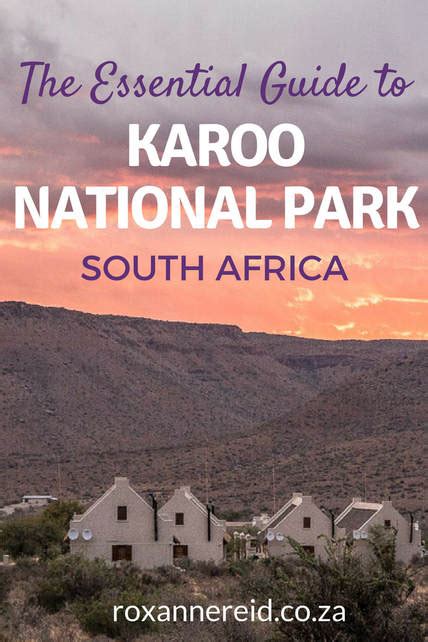 Karoo National Park The Ultimate Guide Roxanne Reid Africa Addict