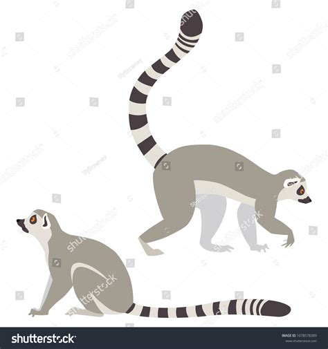 Vector Illustration Walking Sitting Lemurs Isolated Stock Vector