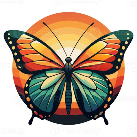 A Colored Butterfly 49159477 Png