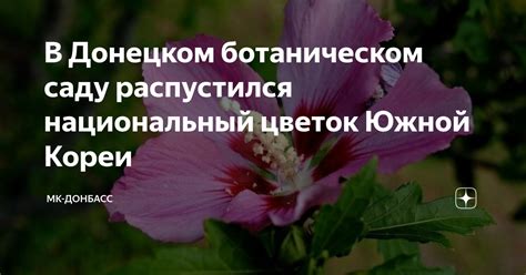 В Донецком ботаническом саду распустился национальный цветок Южной