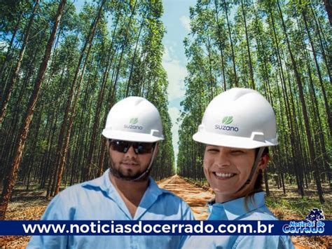 Em Tr S Lagoas Suzano Tem Tr S Processos Seletivos Abertos Not Cias