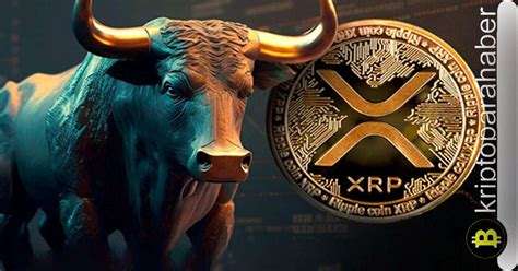 XRP piyasa çöküşüne meydan okuyor Yüzde 40 lık artış yeni bir ralli mi