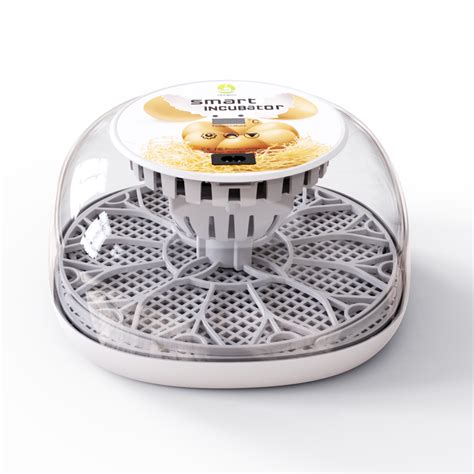 China Wonegg automatic temperature control multi-function egg tray for ...