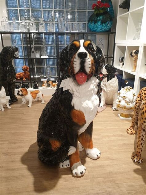 Berner Sennenhund Porzellanfigur Cm Neu Kaufen Auf Ricardo