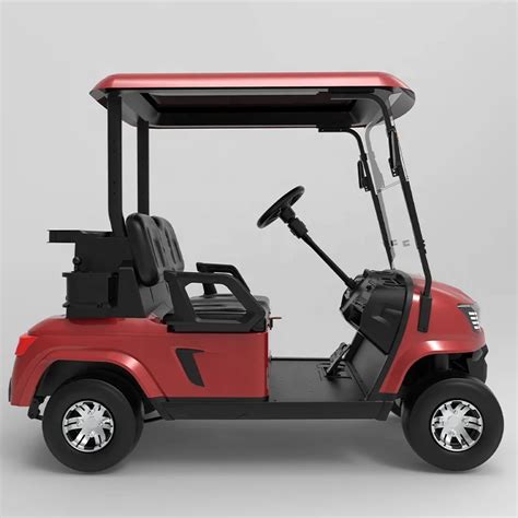 Zycar Brand New Designed Factory Price Golf Carts Electric Golf Cart 2