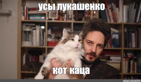Meme: "усы лукашенко кот каца" - All Templates - Meme-arsenal.com
