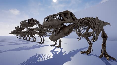 Tyrannosaurus Rex Sue Skeleton in Characters - UE Marketplace