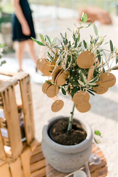 Baum während der Hochzeit pflanzen Ritual für Trauung