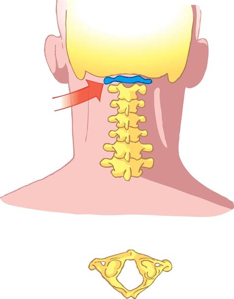 The Benefits Of Atlas Orthogonal Chiropractic Adjustments