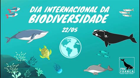 ProFRANCA 22 05 Dia Internacional Da Biodiversidade 2020 YouTube