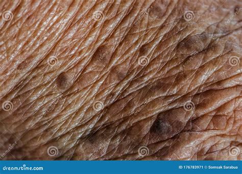 Close Up Shot Of The Wrinkled Senior Skin People Stock Image Image Of