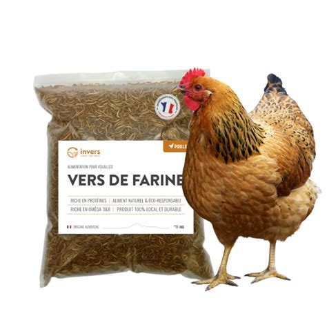 Vers de farine déshydratés INVERS La boutique