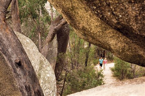 12 Best Things To Do In Stanthorpe Qld 2023 Guide