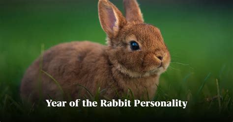 Year Of The Rabbit Compatibility Mysticsense