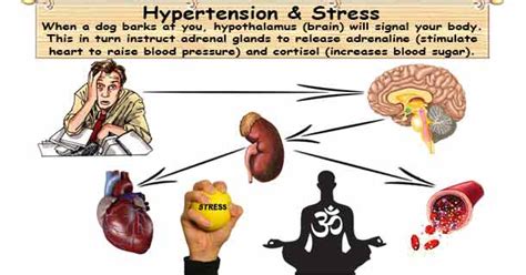 Hypertension And Stress Manage Stress To Lower Blood Pressure