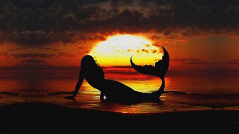 Hd Wallpaper Silhouette Photo Of Mermaid Fantasy Sunset Sky Orange