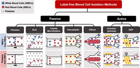 Label Free Microfluidic Cell Sorting And Detection For Rapid Blood