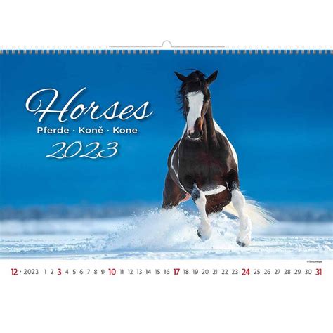 Kalender Helma X Cm Paarden Bij Rosenboom