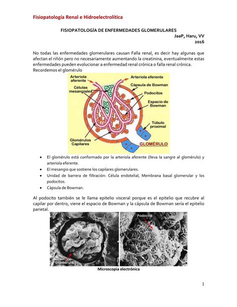 Pdf Fisiopatolog A Renal E Hidroelectrol Ticaa De Fisiopatolog A