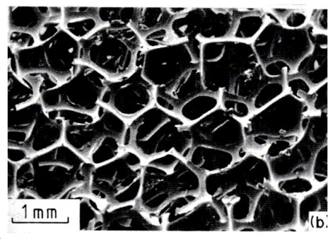 1 Different Types Of Porous Structures Download Scientific Diagram