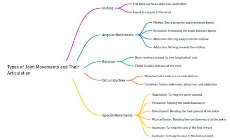 Types of joints movements