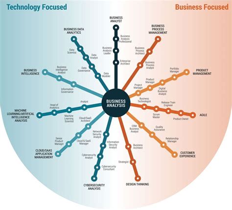 Cgraphic Diagram Of Career Path Options In Business Analyst