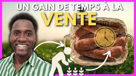 Manioc Comment Bien Faire Sa Recolte Investir En Guin E Youtube