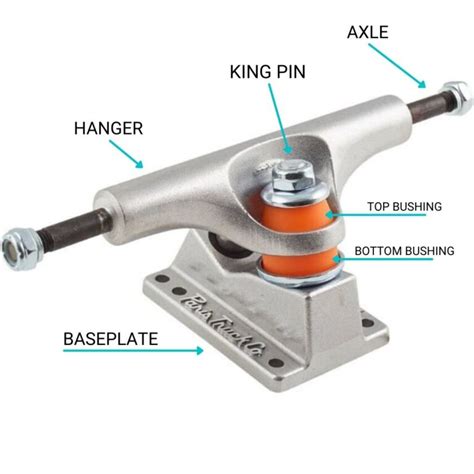 Skateboard truck guide – choosing the right shape and size - HVS BOARDBLOG