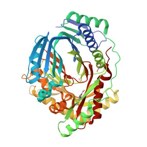 RCSB PDB 8QC4 M Tuberculosis Salicylate Synthase MbtI In Complex