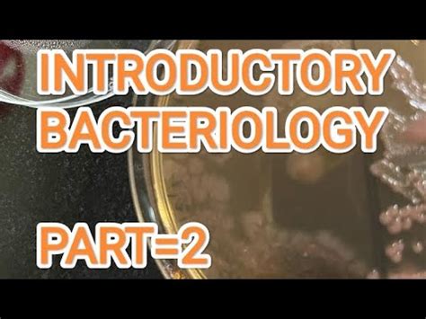 Introduction Of Bacteria Part 2 YouTube