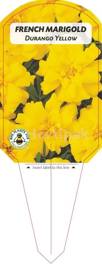 Marigold French Durango Yellow Hortipak E Store