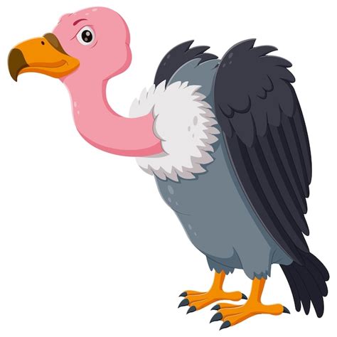 Premium Vector Cartoon Vulture Bird Vector Illustration