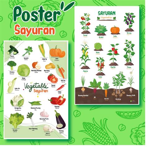 Jual Poster Belajar Mengenal Sayuran Poster Edukasi Jenis Jenis