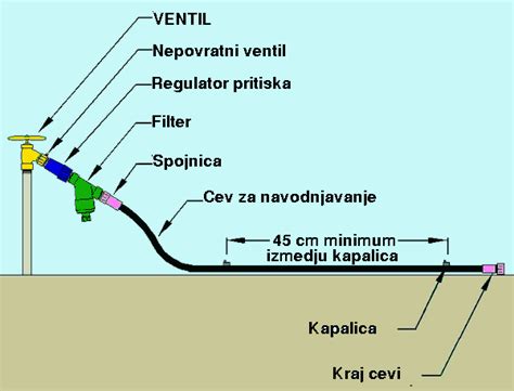 Vreme Zalivanja Kvalitet I Koli Ina Vode Za Navodnjavanje