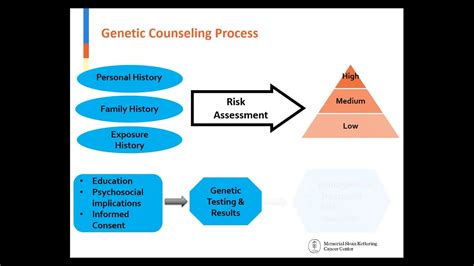 Understanding Genetic Counseling YouTube