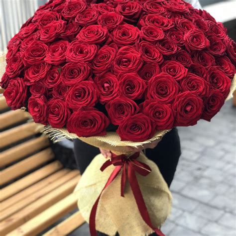 Bouquet 31 Rose Kenya Informacionpublica Svet Gob Gt