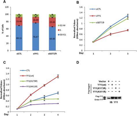 Set Mediated Yy Methylation Is Involved In Yy Regulated Cell