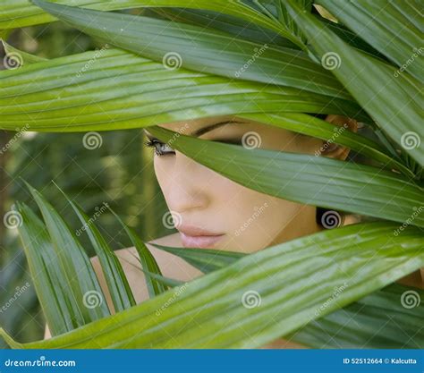 Beautiful Woman Hiding Behind The Palm Leaves Beautiful St Stock Photo