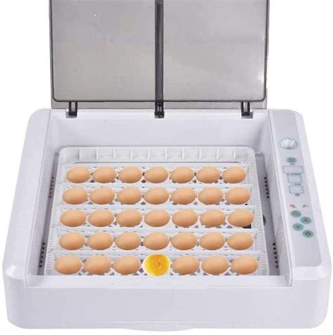 Buy Egg Incubator 36 Eggs Fully Automatic Poultry Hatcher Machine Led