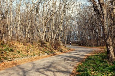 Un Camino Sinuoso En Un Parque Oto Al Con Rboles Desnudos En Las