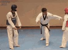 Martial Arts GIFs | Tenor