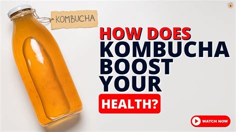 Unveiling The Surprising Health Benefits Of Kombucha Go It