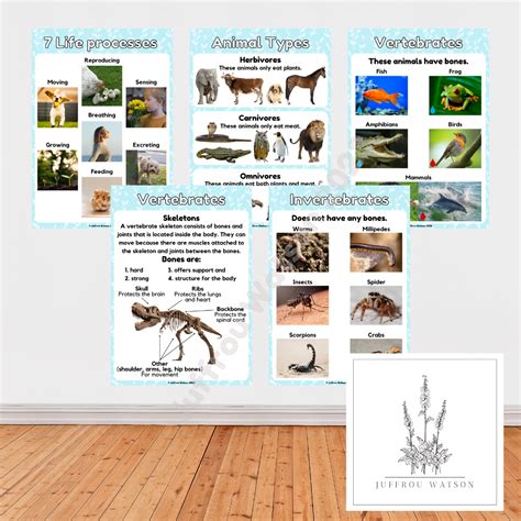 Grade Nst Graad Natural Science Poster Caps Atp Term Teacha