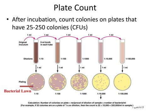 Measuring Microbial Growthppt