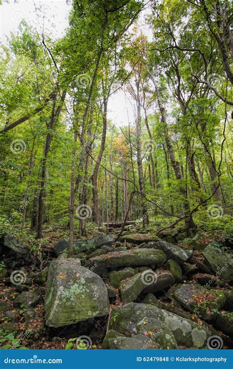 Rocky Lush Green Great Smoky Mountain Park Stock Photo Image Of Rocks