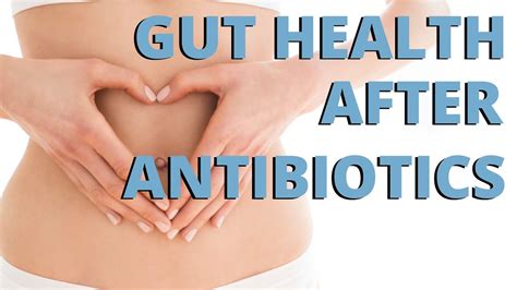 How To Restore Gut Health After Antibiotics YouTube