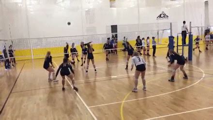 volleyball gifs Page 7 | WiffleGif